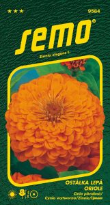 9584_ostálka-ORIOLE-2