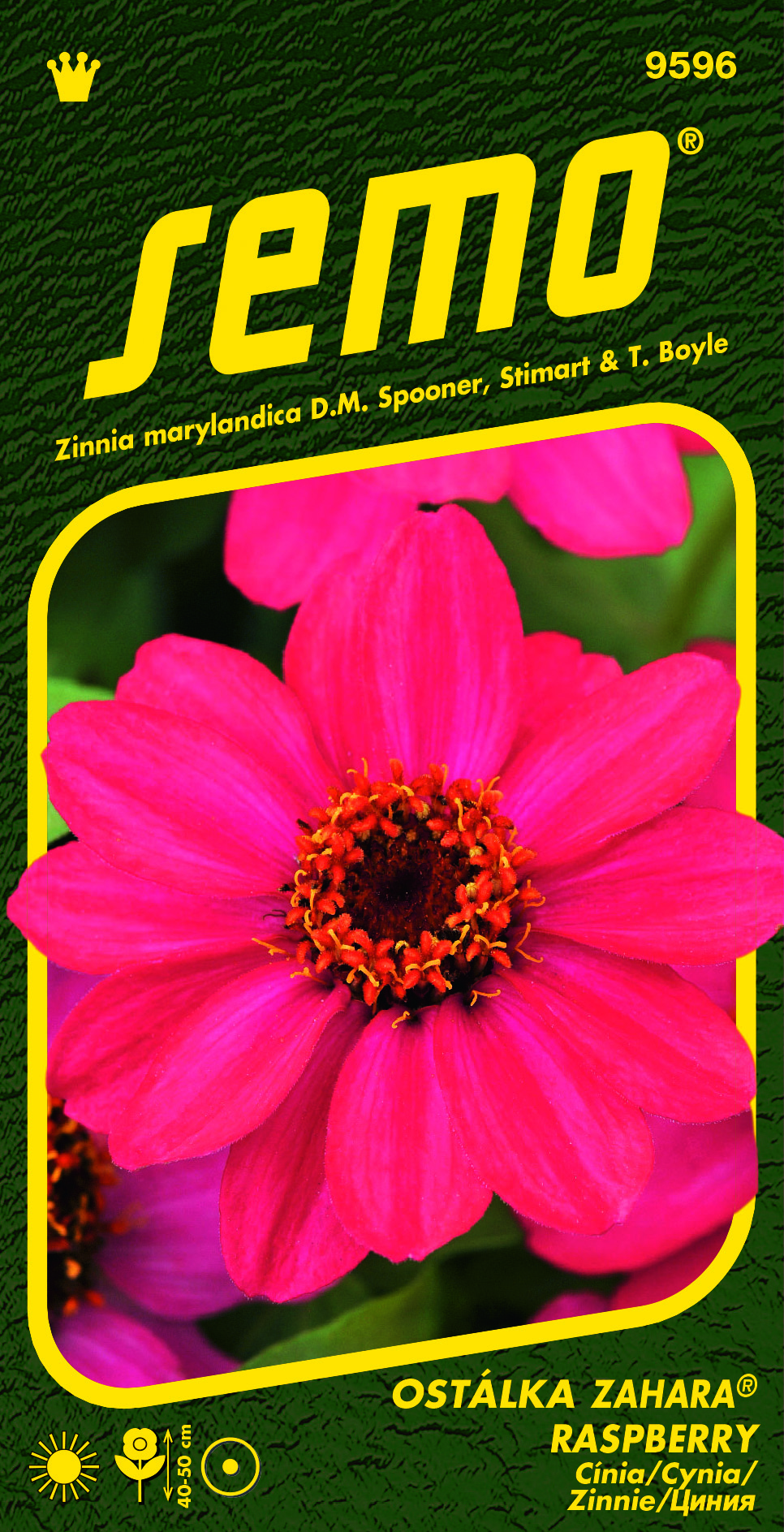 9596_ostálka-ZAHARA-RASPBERRY-2