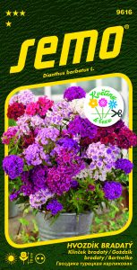 9616-Hvozdík-bradatý-FRAGRANCE-MIX_N1513924_kve¦îtiny-k-r¦îezu_VS-1
