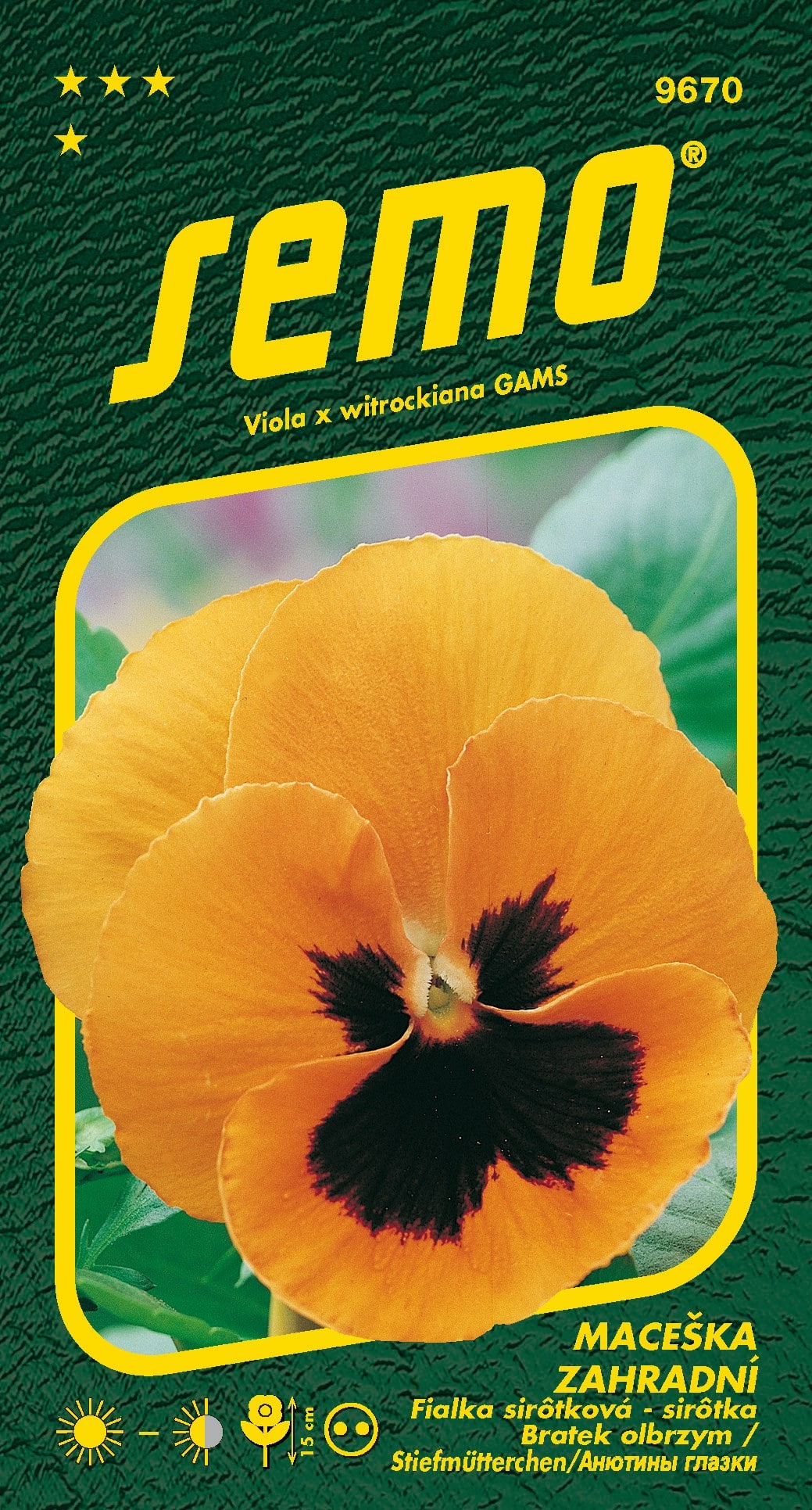 9670_maceška-ORANŽOVÁ-2