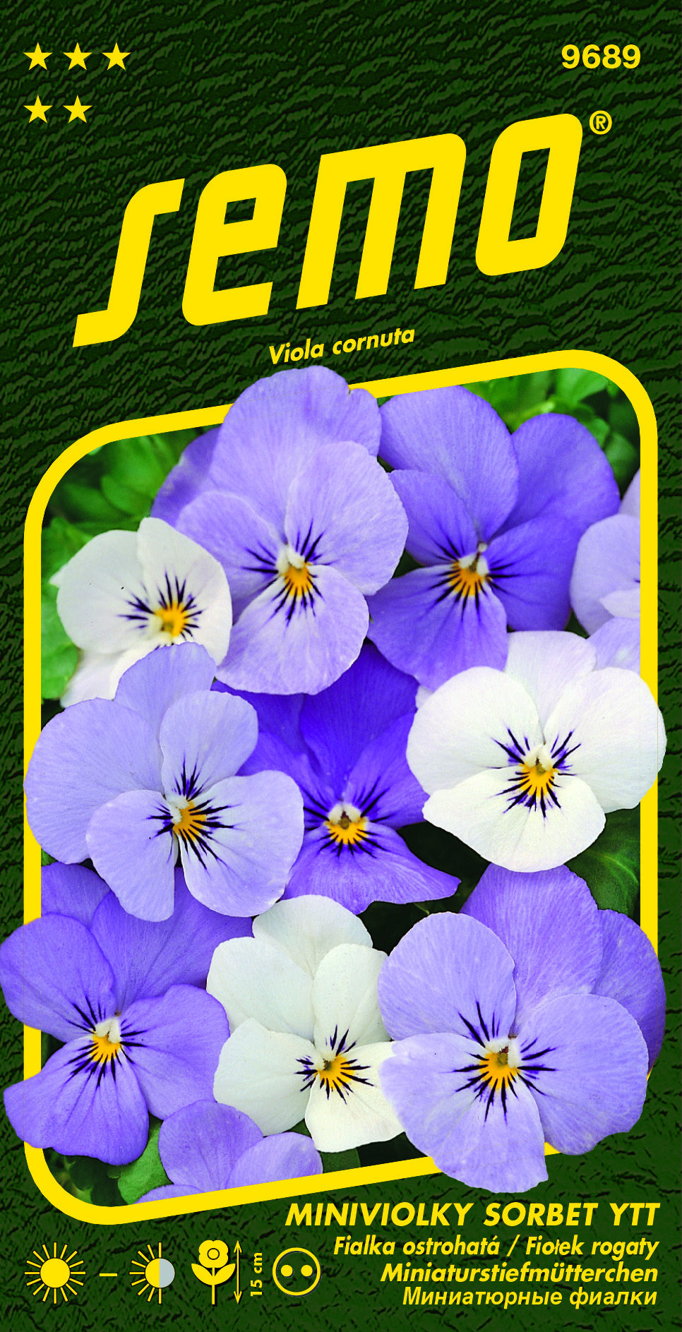 9689_miniviolka-SORBET-YTT-2