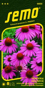 9800_třapatka-PURPUROVÁ-2