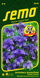 9949-Svazenka-shloučená-FIONA_phacelia-2