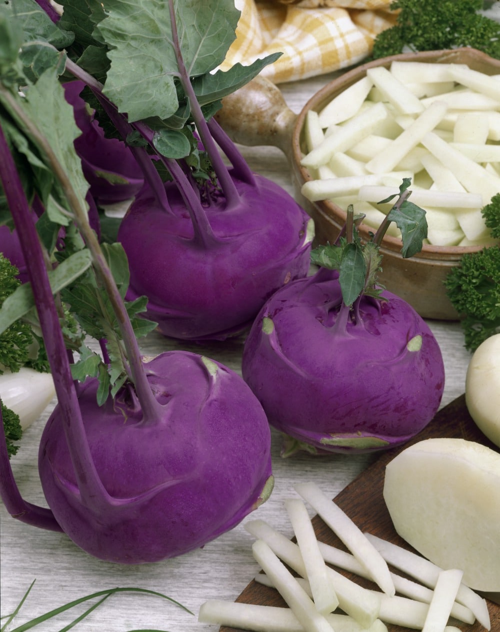 Kohlrabi / Brassica oleracea var. gongylodes type Blusta P0351Kaleráb-Azur-2