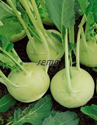 images images-3