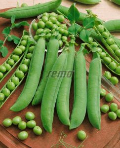 p1081-semo-zelenina-hrach-sety-drenovy-avola