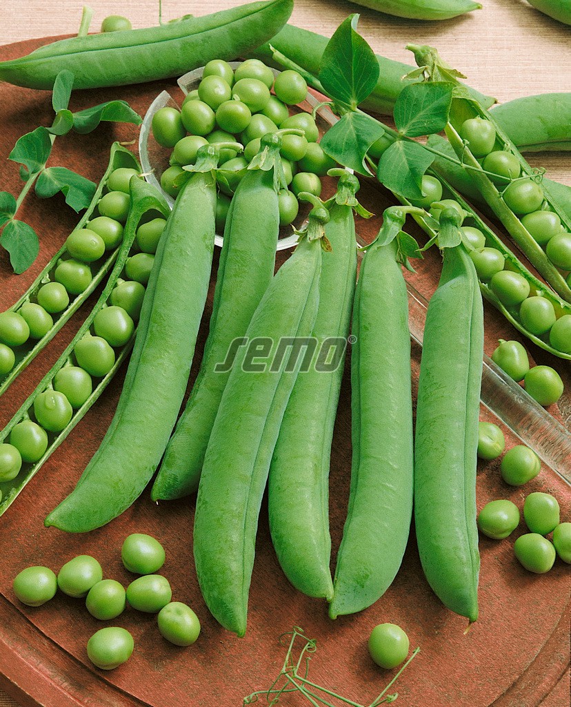 p1081-semo-zelenina-hrach-sety-drenovy-avola