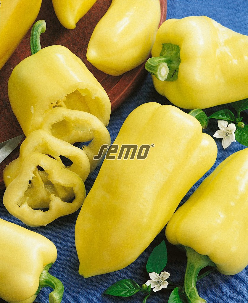 semo-zelenina-paprika-rocná-amy2