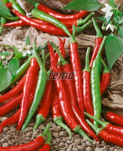 semo-zelenina-paprika-rocná-damian2