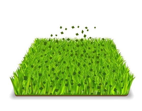 Gras_mulchen-2