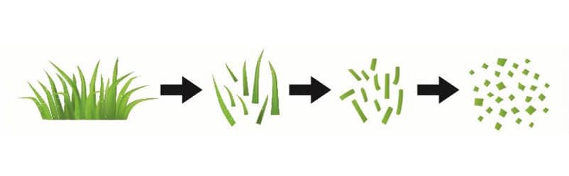 Image-mulch-illustration-1
