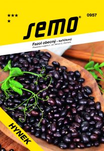 0957-Fazol-HYNEK_AL