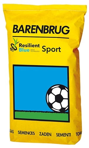 Resilient Blue Sport