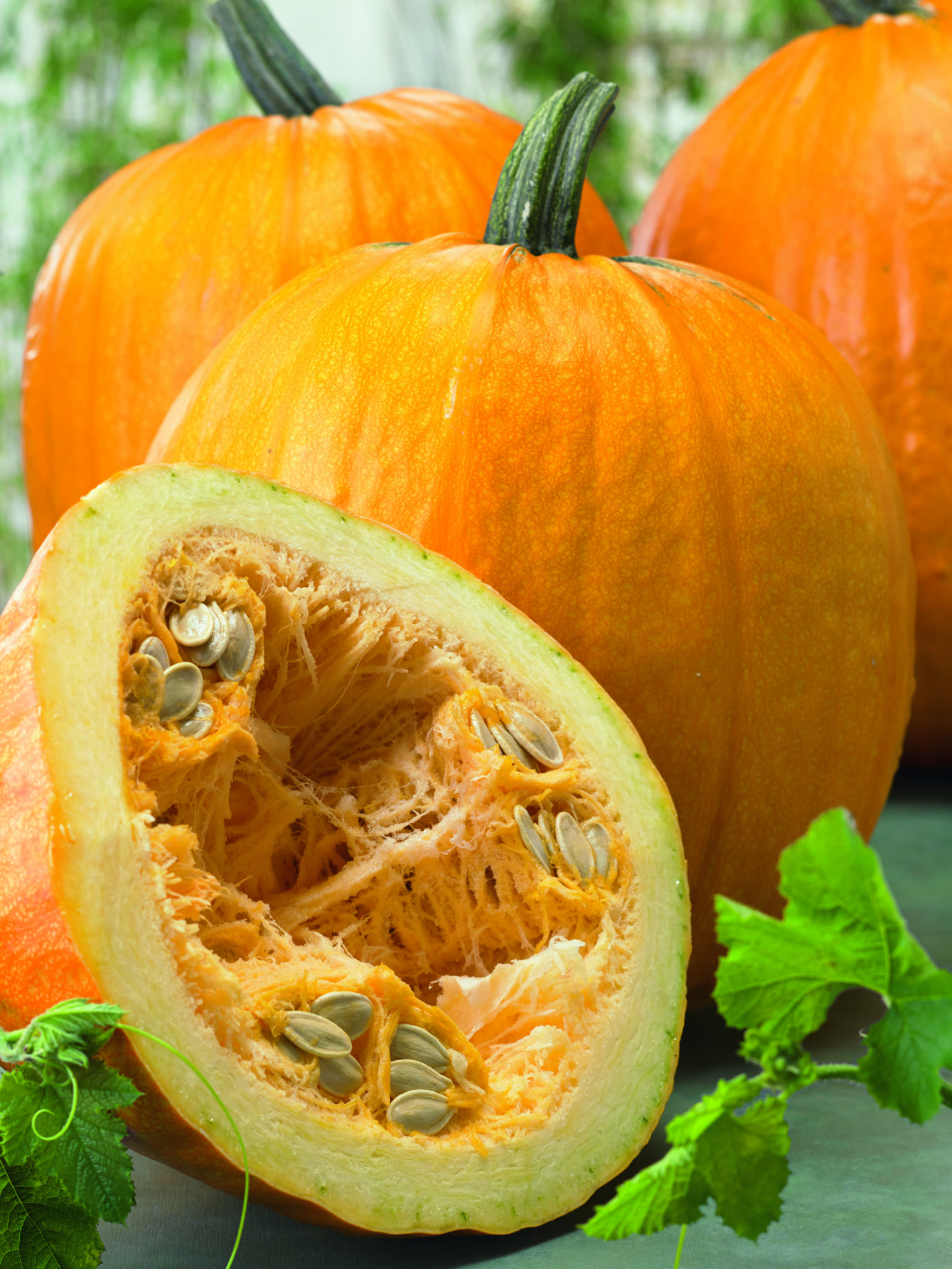 Cucurbita Loup F1